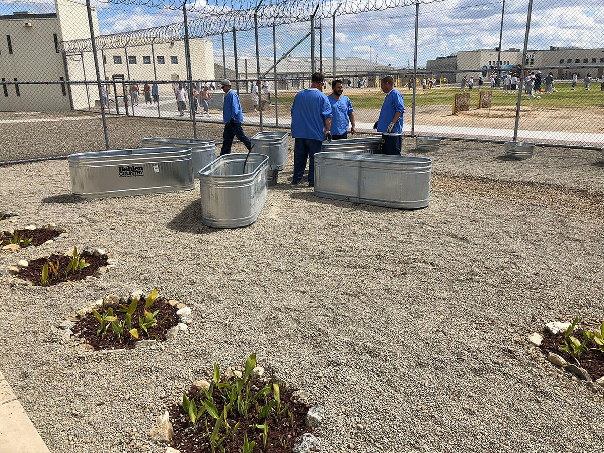 Avenal State Prison garden